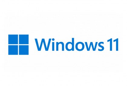 Microsoft Windows 11 Pro Türkçe Oem (64 Bit) FQC-10556